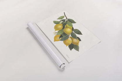 Lemon Branch I by Albena Hristova. shown as a rolled paper print. Available as archival giclee rolled canvas, fine art paper, or poster print. SKU 72451i.