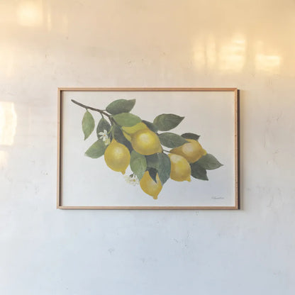 Lemon Branch I by Albena Hristova. shown as a paper print in a natural frame. Available as a archival giclee rolled canvas, fine art paper, or poster print. SKU 72451i.