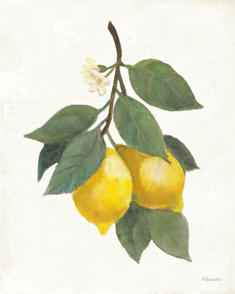 Lemon Branch II by Albena Hristova