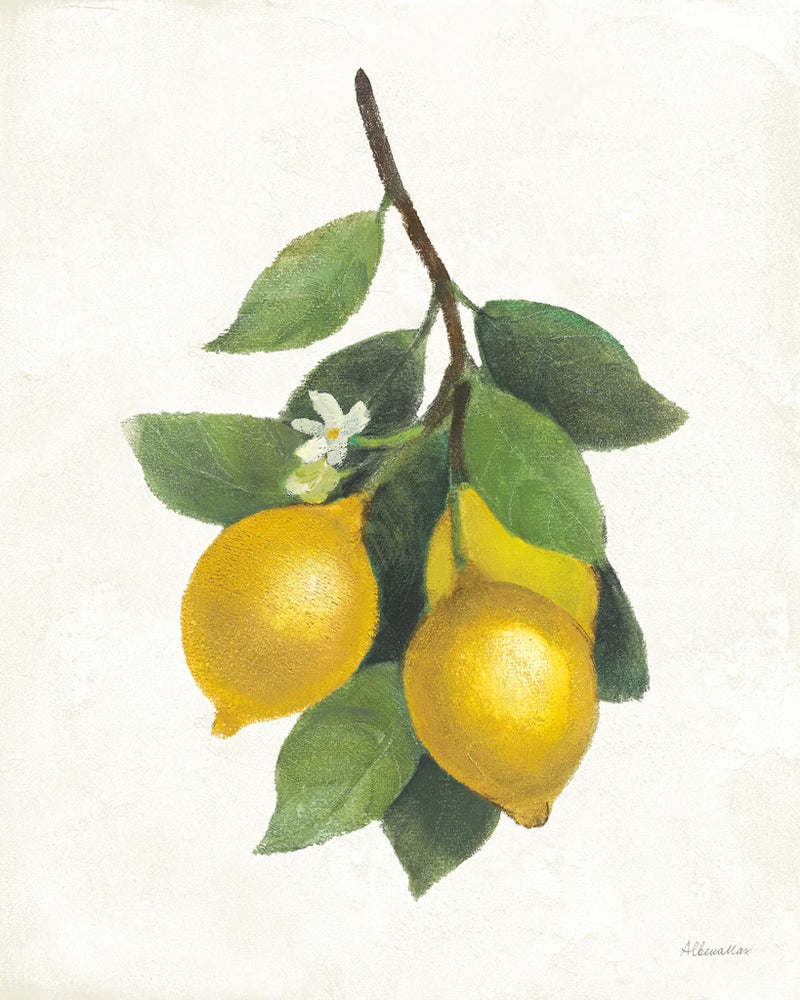 Lemon Branch III by Albena Hristova