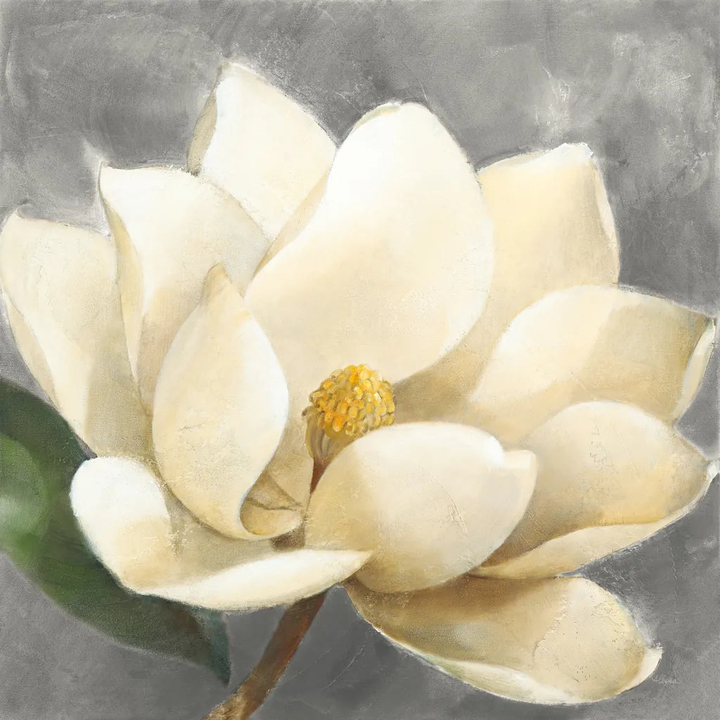 Magnolia Blossom on Gray by Albena Hristova. SKU 35734a. Archival Giclee Fine art print for wall decor.