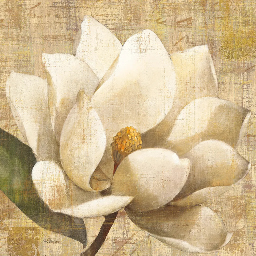 Magnolia Blossom on Script by Albena Hristova. SKU 22364a. Archival Giclee Fine art print for wall decor.