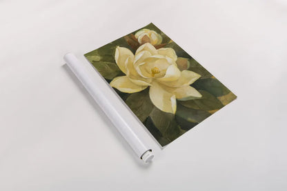 Majestic Magnolia by Albena Hristova. shown as a rolled paper print. Available as archival giclee rolled canvas, fine art paper, or poster print. SKU 6328i.