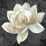 Majestic Magnolia Neutral Sq by Albena Hristova. SKU 23185a. Archival Giclee Fine art print for wall decor.