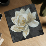 Majestic Magnolia Neutral Sq by Albena Hristova. Shown as a detailed flat fine art print, highlighting archival giclee quality. Available as an archival giclee rolled canvas, fine art paper, or poster print. SKU 23185a.