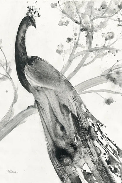 Majestic Peacock Crop by Albena Hristova. SKU 45726h. Archival Giclee Fine art print for wall decor.