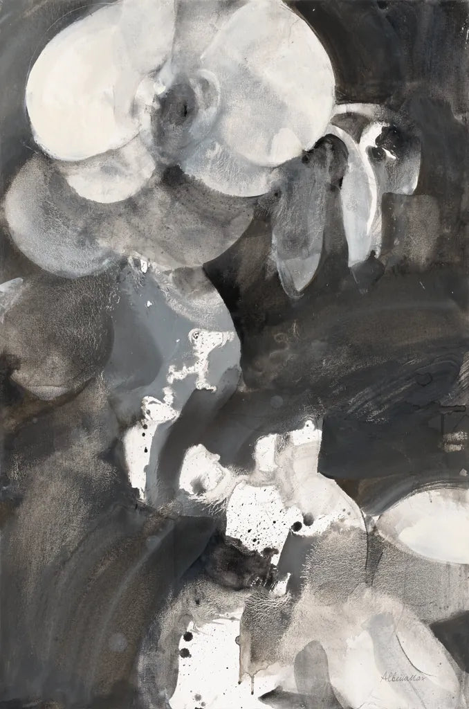 Orchid Splendor I by Albena Hristova. SKU 64624h. Archival Giclee Fine art print for wall decor.