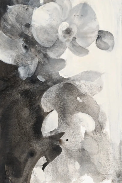 Orchid Splendor II by Albena Hristova. SKU 64625h. Archival Giclee Fine art print for wall decor.