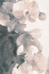 Orchid Splendor II Blush by Albena Hristova. SKU 82360h. Archival Giclee Fine art print for wall decor.