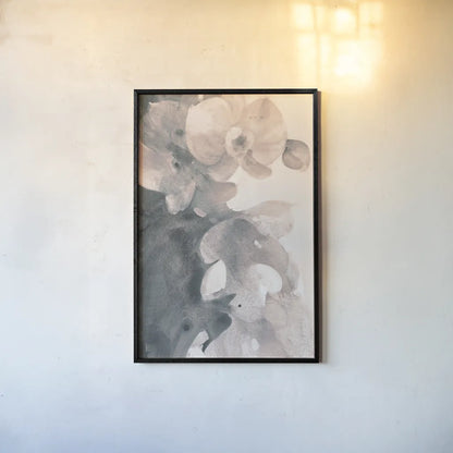 Orchid Splendor II Blush by Albena Hristova. shown as a paper print in a black flame. Available as a archival giclee rolled canvas, fine art paper, or poster print. SKU 82360h.