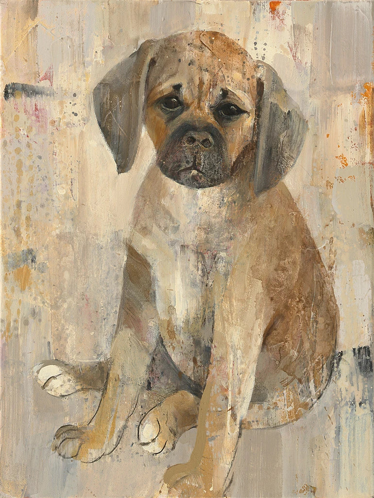 Paco by Albena Hristova