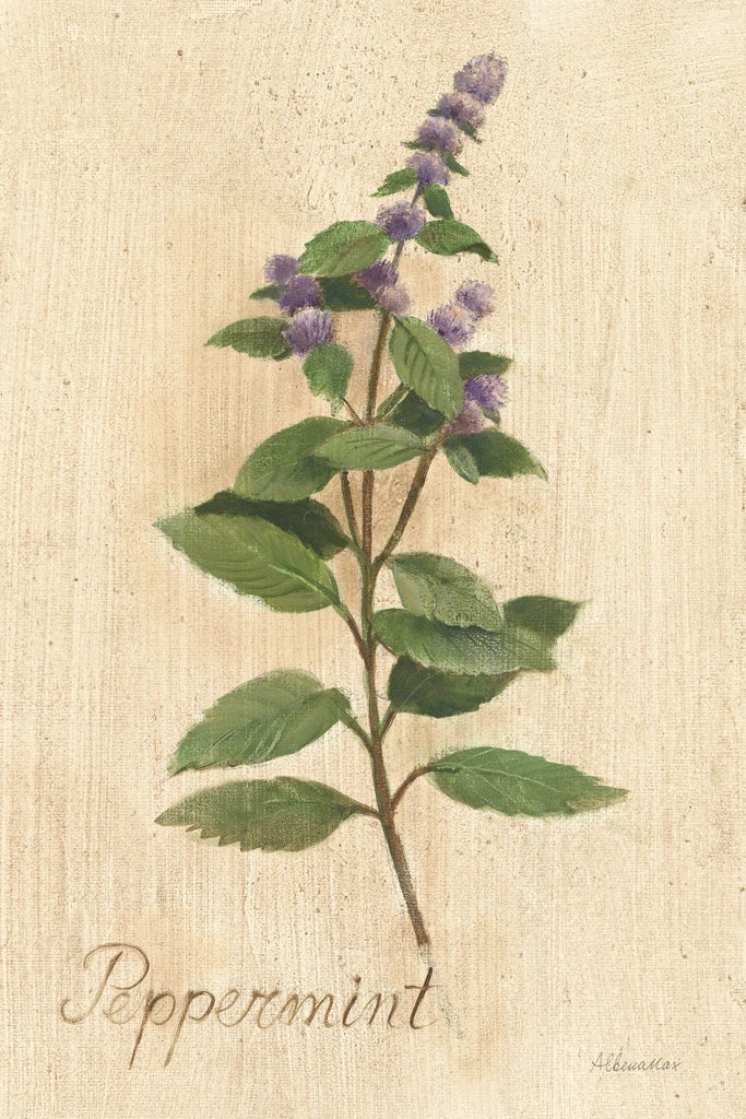 Peppermint by Albena Hristova