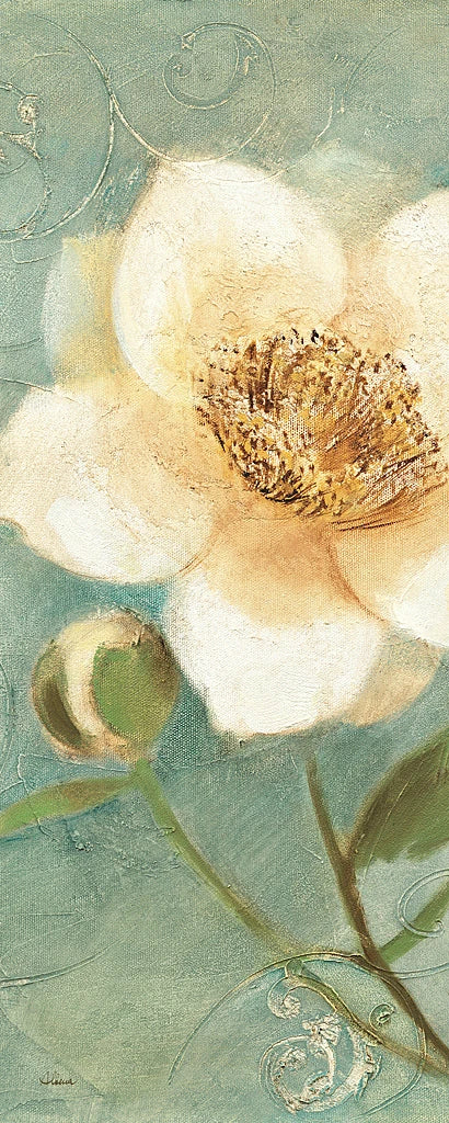 Pretty Peony Crop by Albena Hristova