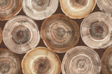 Rings of Life I Brown by Albena Hristova. SKU 48467i. Archival Giclee Fine art print for wall decor.
