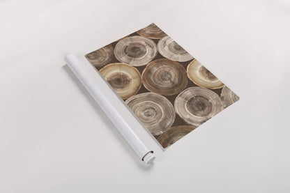 Rings of Life I Brown by Albena Hristova. shown as a rolled paper print. Available as archival giclee rolled canvas, fine art paper, or poster print. SKU 48467i.