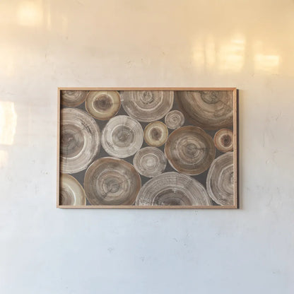 Rings of Life II by Albena Hristova. shown as a paper print in a natural frame. Available as a archival giclee rolled canvas, fine art paper, or poster print. SKU 48466i.