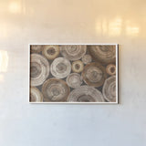 Rings of Life II by Albena Hristova. shown as a paper print in a white frame. Available as a archival giclee rolled canvas, fine art paper, or poster print. SKU 48466i.