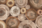 Rings of Life II Brown by Albena Hristova. SKU 48468i. Archival Giclee Fine art print for wall decor.
