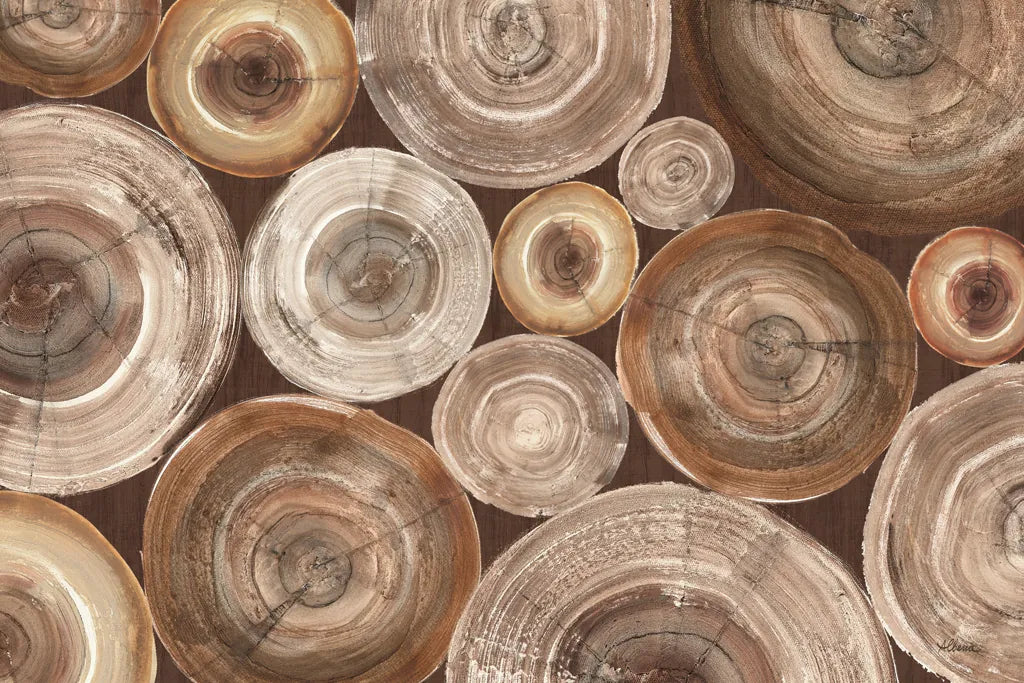 Rings of Life II Brown by Albena Hristova. SKU 48468i. Archival Giclee Fine art print for wall decor.