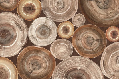 Rings of Life II Brown by Albena Hristova. SKU 48468i. Archival Giclee Fine art print for wall decor.