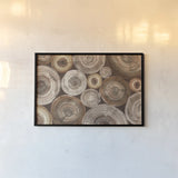 Rings of Life II Brown by Albena Hristova. shown as a paper print in a black flame. Available as a archival giclee rolled canvas, fine art paper, or poster print. SKU 48468i.