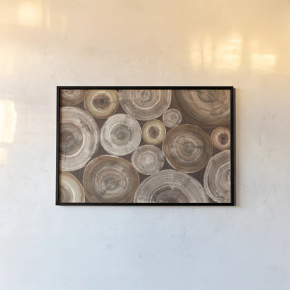 Rings of Life II Brown by Albena Hristova. shown as a paper print in a black flame. Available as a archival giclee rolled canvas, fine art paper, or poster print. SKU 48468i.