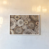 Rings of Life II Brown by Albena Hristova. shown as a paper print in a white frame. Available as a archival giclee rolled canvas, fine art paper, or poster print. SKU 48468i.