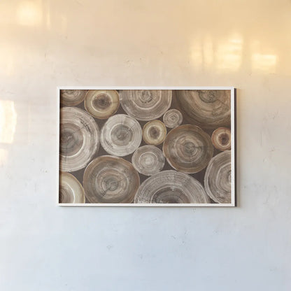 Rings of Life II Brown by Albena Hristova. shown as a paper print in a white frame. Available as a archival giclee rolled canvas, fine art paper, or poster print. SKU 48468i.