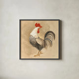 Rooster II by Albena Hristova. Shown in a sleek black glass frame for a contemporary gallery look. Available as an archival giclee rolled canvas, fine art paper, or poster print. SKU 54428a.