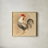 Rooster II by Albena Hristova. Shown in a natural wood glass frame for a timeless modern aesthetic. Available as an archival giclee rolled canvas, fine art paper, or poster print. SKU 54428a.