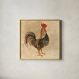 Rooster III by Albena Hristova. Shown in a natural wood glass frame for a timeless modern aesthetic. Available as an archival giclee rolled canvas, fine art paper, or poster print. SKU 54429a.