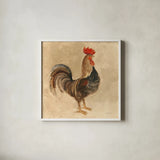 Rooster III by Albena Hristova. Shown in a crisp white glass frame for a clean and minimalist style. Available as an archival giclee rolled canvas, fine art paper, or poster print. SKU 54429a.