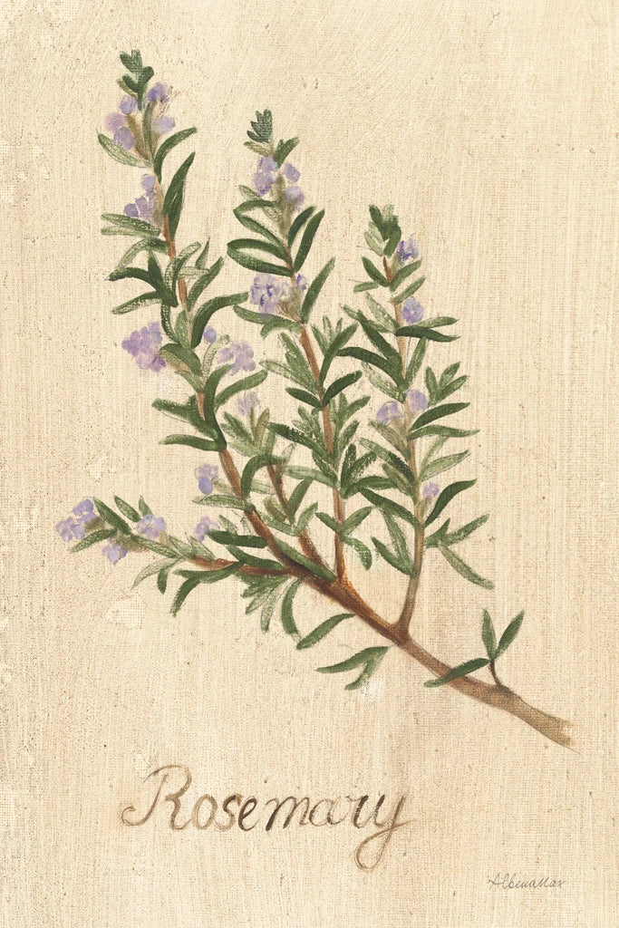 Rosemary by Albena Hristova