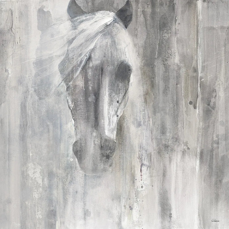 Shadow Gray by Albena Hristova. SKU 33616a. Archival Giclee Fine art print for wall decor.