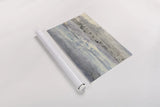 Silver Horizon by Albena Hristova. shown as a rolled paper print. Available as archival giclee rolled canvas, fine art paper, or poster print. SKU 32505i.