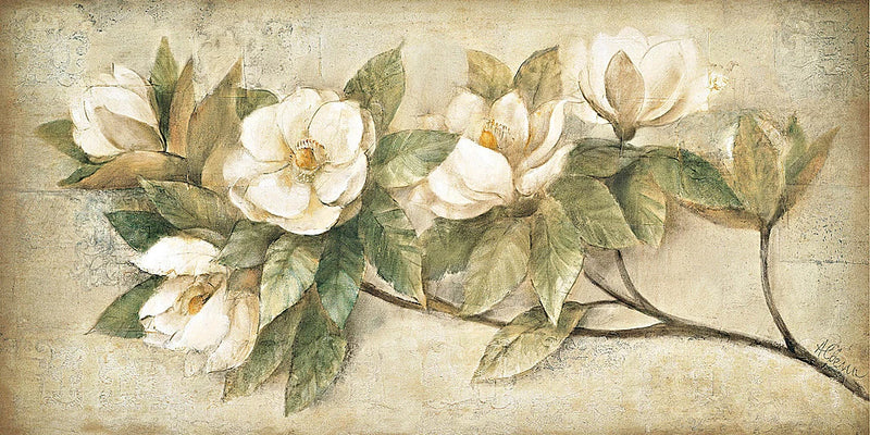 Sugar Magnolia Vintage by Albena Hristova