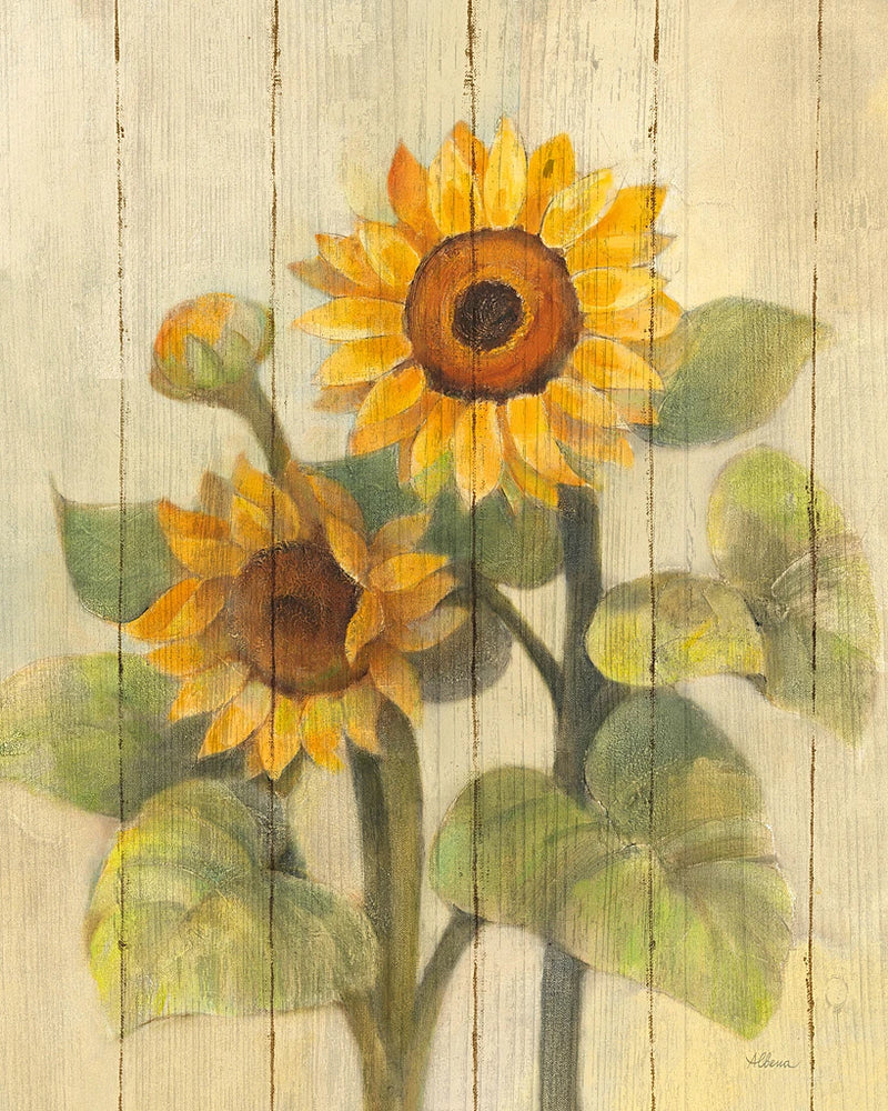 Summer Sunflowers II on Barn Board by Albena Hristova