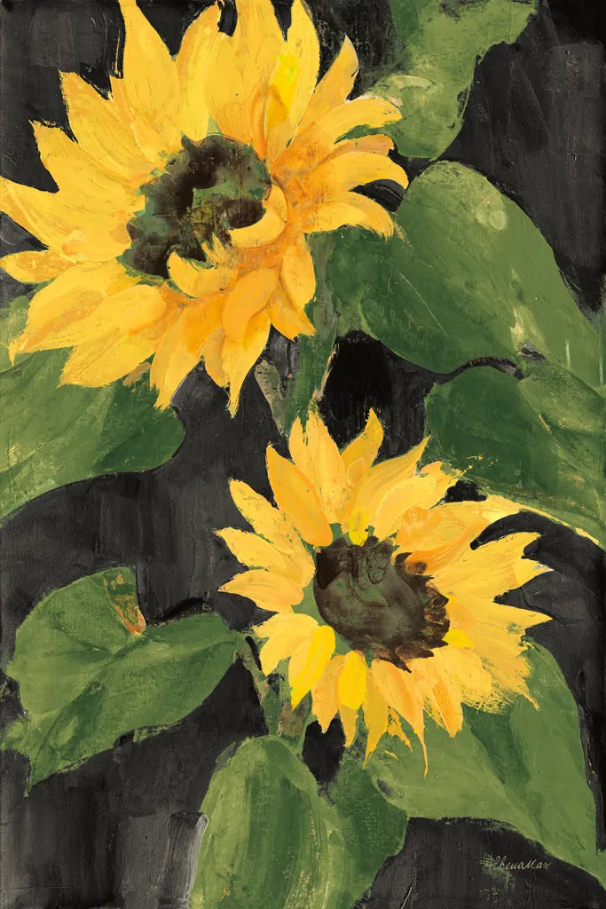 Sunny Blooms on Black by Albena Hristova. SKU 80825h. Archival Giclee Fine art print for wall decor.