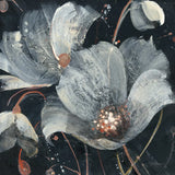 Translucent Poppies by Albena Hristova. SKU 34623a. Archival Giclee Fine art print for wall decor.