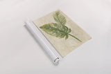 Tropical Leaves Neutral by Albena Hristova. shown as a rolled paper print. Available as archival giclee rolled canvas, fine art paper, or poster print. SKU 35860h.