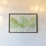 Tropical Trio by Albena Hristova. shown as a paper print in a black flame. Available as a archival giclee rolled canvas, fine art paper, or poster print. SKU 54067i.