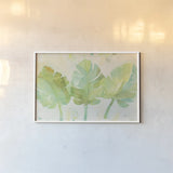Tropical Trio by Albena Hristova. shown as a paper print in a white frame. Available as a archival giclee rolled canvas, fine art paper, or poster print. SKU 54067i.