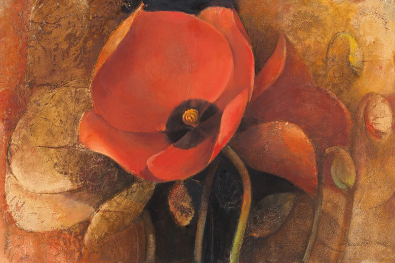 Tulip Shadow I by Albena Hristova