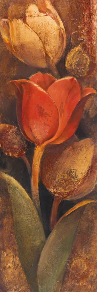 Tulip Shadow II by Albena Hristova