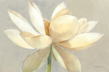 Unfolding Light by Albena Hristova. SKU 67864i. Archival Giclee Fine art print for wall decor.