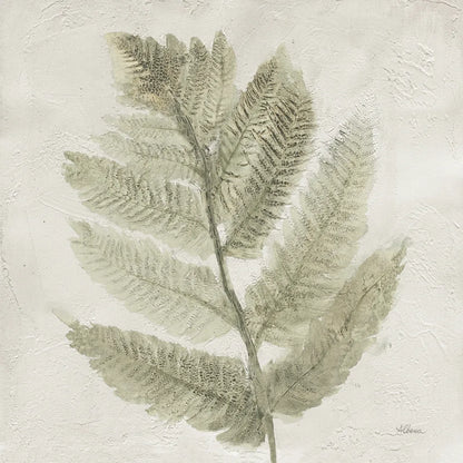 Watercolor Forest Ferns I by Albena Hristova. SKU 86701a. Archival Giclee Fine art print for wall decor.