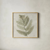 Watercolor Forest Ferns I by Albena Hristova. Shown in a natural wood glass frame for a timeless modern aesthetic. Available as an archival giclee rolled canvas, fine art paper, or poster print. SKU 86701a.