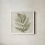 Watercolor Forest Ferns I by Albena Hristova. Shown in a crisp white glass frame for a clean and minimalist style. Available as an archival giclee rolled canvas, fine art paper, or poster print. SKU 86701a.