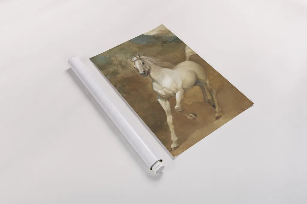 White Knight Crop by Albena Hristova. shown as a rolled paper print. Available as archival giclee rolled canvas, fine art paper, or poster print. SKU 6264h.