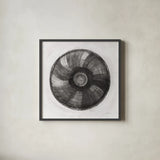 Woven Beauty II BW by Albena Hristova. Shown in a sleek black glass frame for a contemporary gallery look. Available as an archival giclee rolled canvas, fine art paper, or poster print. SKU 56851a.